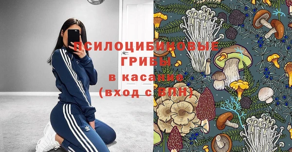 спиды Арсеньев