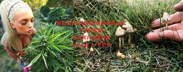 спиды Арсеньев