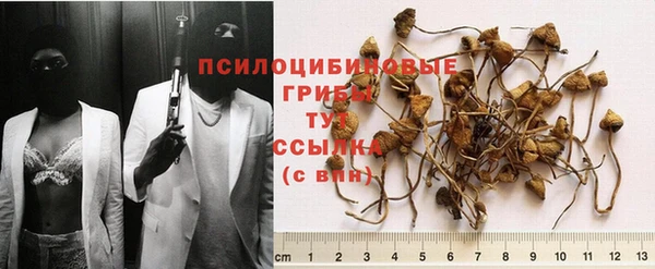 стафф Армянск