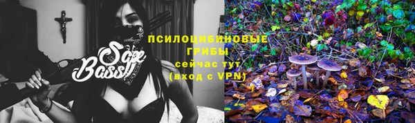 спиды Арсеньев