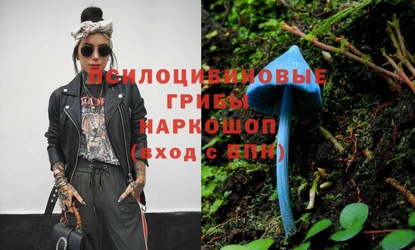 стафф Армянск