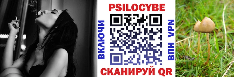 наркотики  Судак  Псилоцибиновые грибы мицелий 
